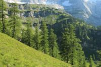 2015-07-01_1Pano-bei-Lacke (330).JPG